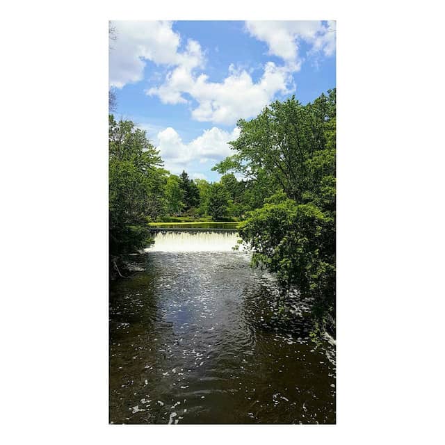 Boy Scout Park - Image 1