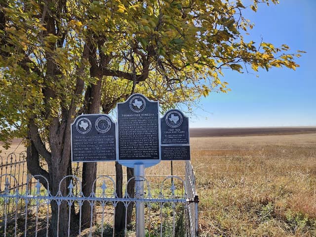 First Tree of the Texas Panhandle - Image 2