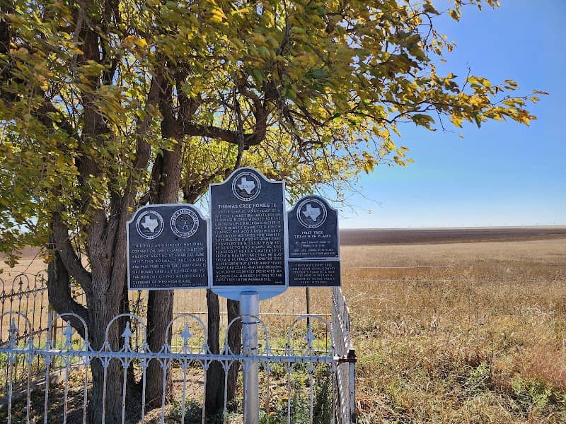 First Tree of the Texas Panhandle - Image 2