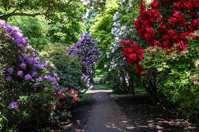 National Trust - Sheringham Park - Image 3