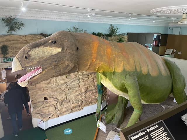 Portsmouth Natural History Museum - Image 2