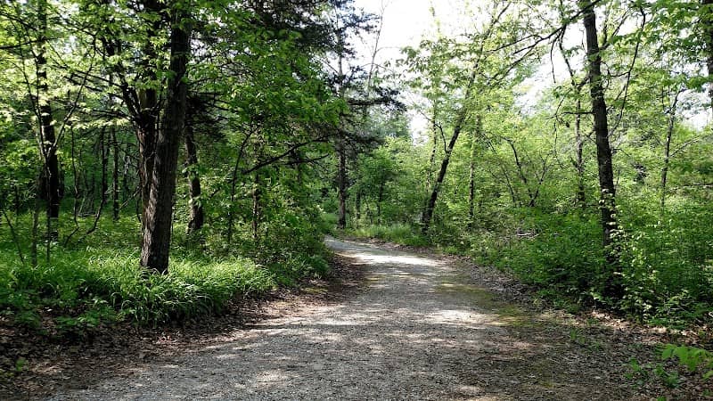 Potts Park Nature Trail - Image 1