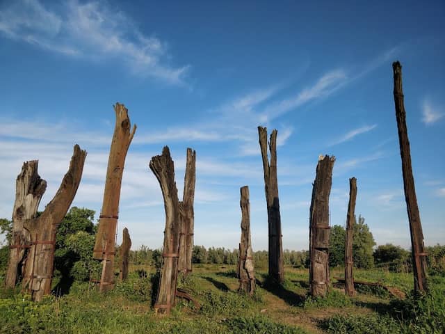 Bomenmonument - Image 1