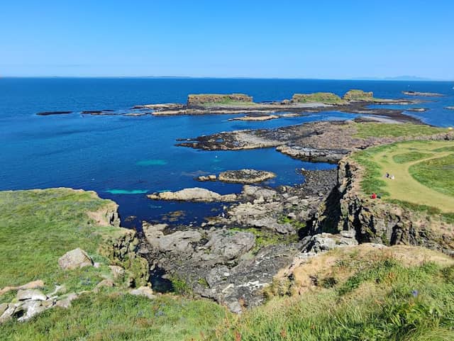 Lunga, Treshnish Isles - Image 3