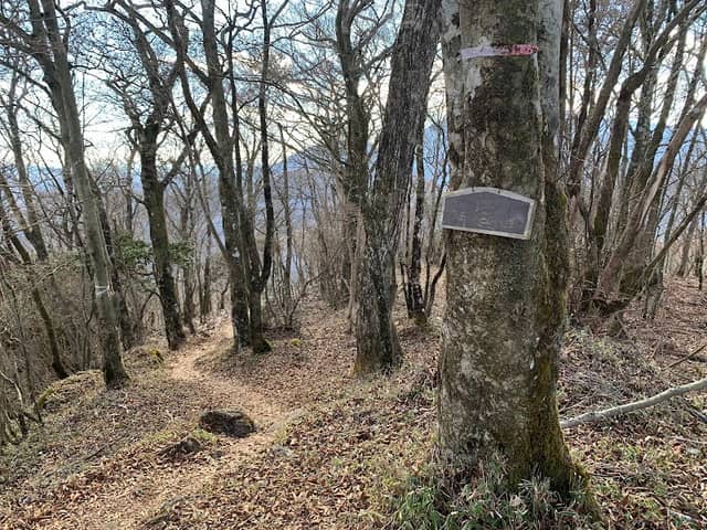 精進山 - Image 1