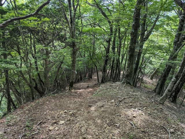 精進山 - Image 2