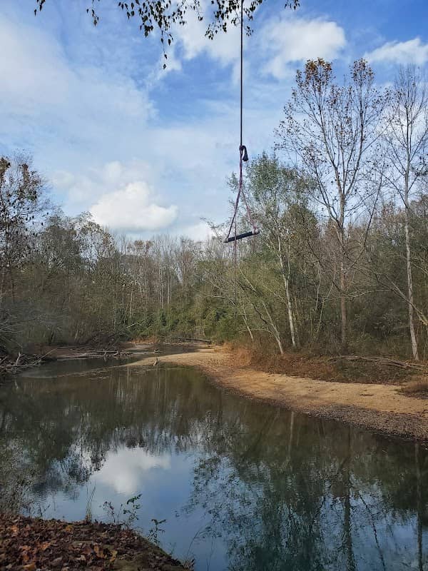Waterloo water hole - Image 1