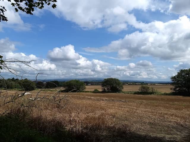 Billinge Plantation - Image 1