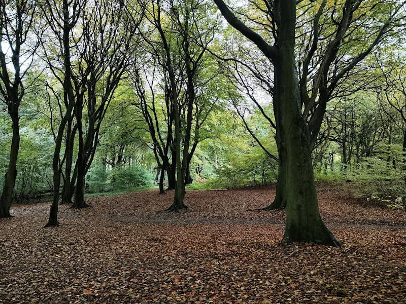 Billinge Plantation - Image 2