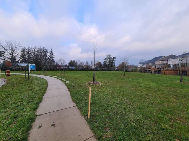 Harris Park - Image 2
