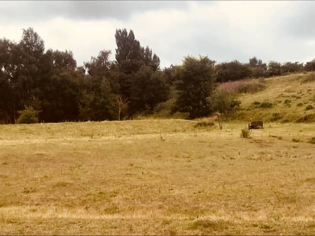 Austerfield Mosaic Reserve - Image 2