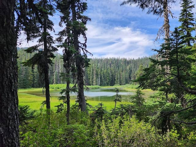 Thorp Mt Lookout / Little Joe Lake Trailhead - Image 1