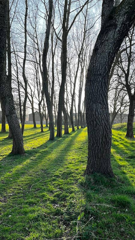 Centenary Park - Image 1