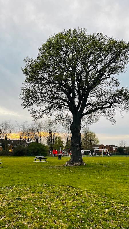 Centenary Park - Image 2