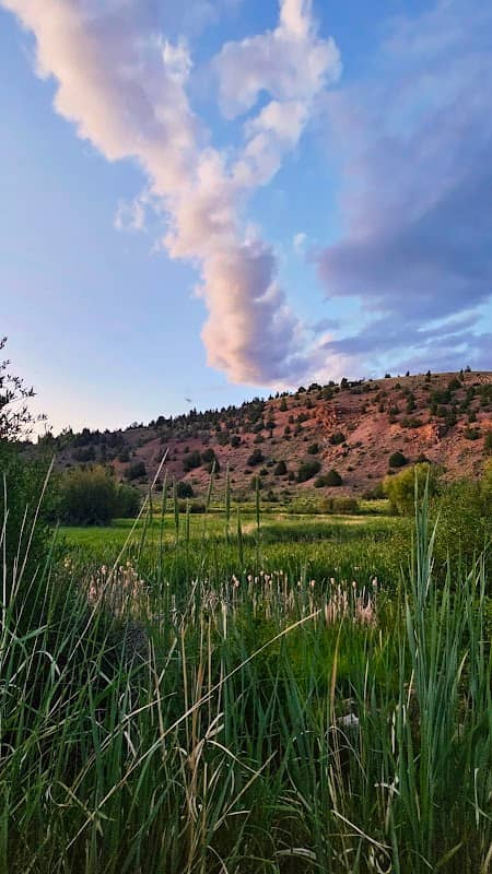 Hefner's Dam Trailhead - Image 2
