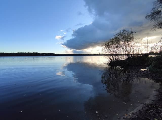 Littoisten koirapuisto - Image 1