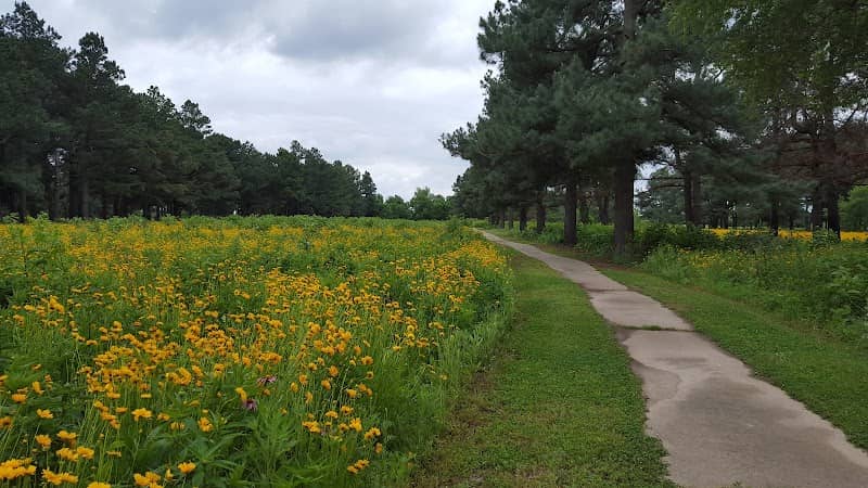 Hank Watson Park - Image 1