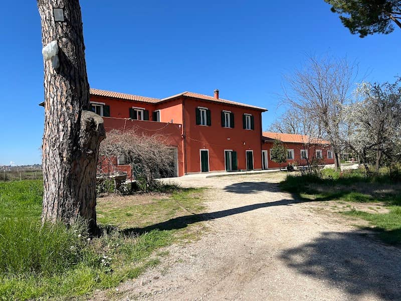 Roman Holiday Farm - Image 1