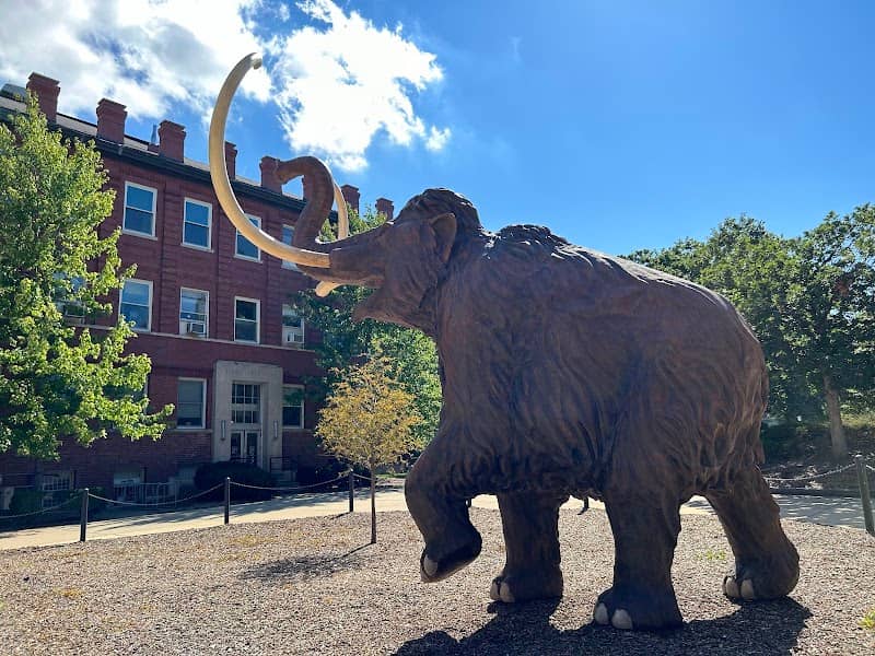 Woolly Mammoth Statue - Image 1