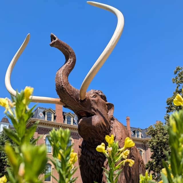 Woolly Mammoth Statue - Image 2