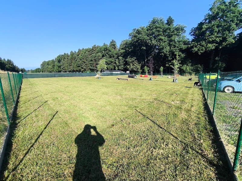 Hundewiese Premstätten - Image 1
