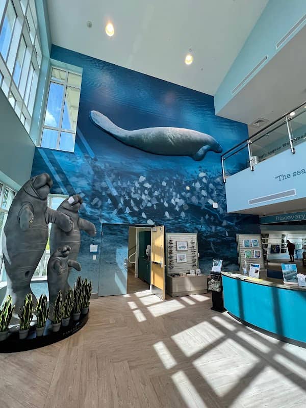Manatee Lagoon - Image 3