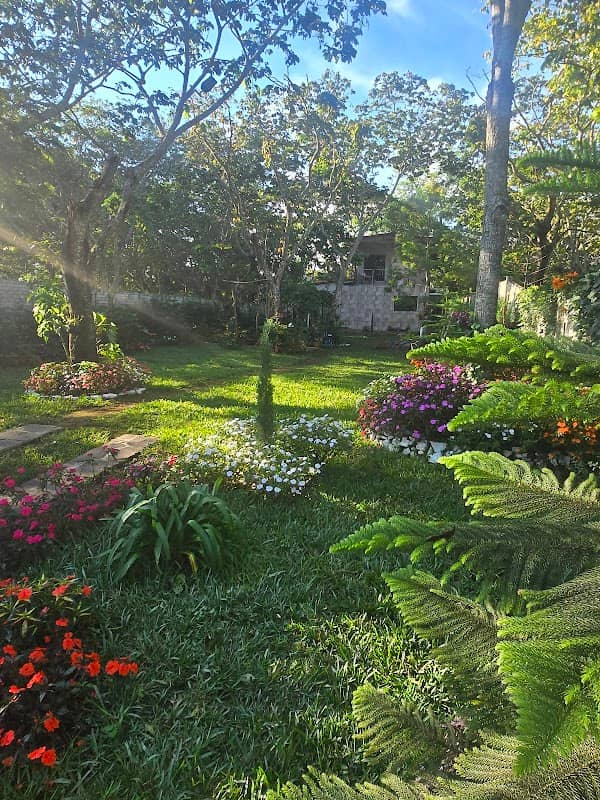 Casa Gardenia - Image 1