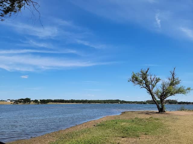 Selma Park - Image 2
