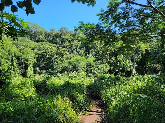Wailua Falls - Image 3