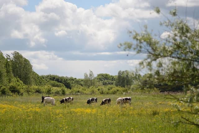 Tewkesbury Nature Reserve - Image 1