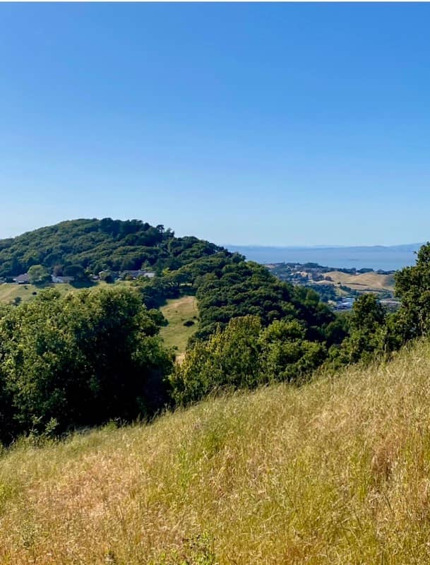 Sobrante Ridge Botanic Regional Preserve - Image 2