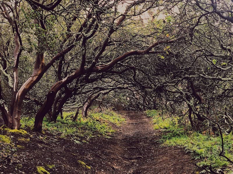 Sobrante Ridge Botanic Regional Preserve - Image 1