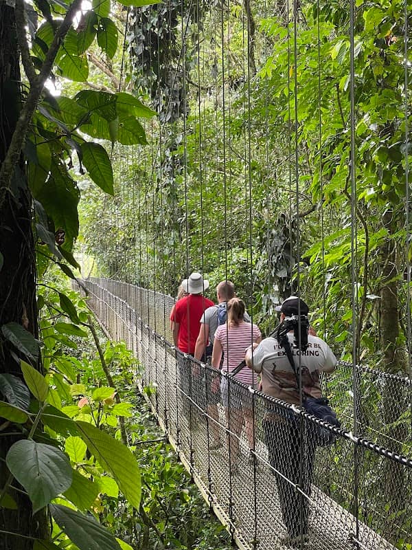 Puentes Colgantes Arenal, Mistico Park - Image 2