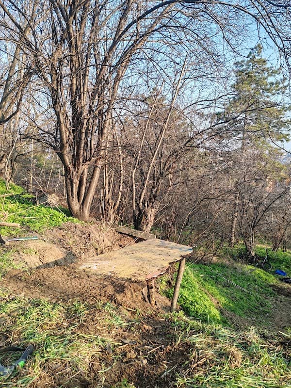 Mountainbike staza ZLATNO BRDO - Image 1
