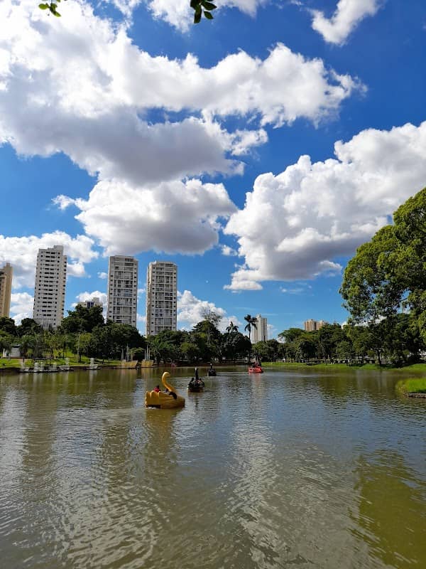 Pedalinhos do Lago das Rosas - Image 1