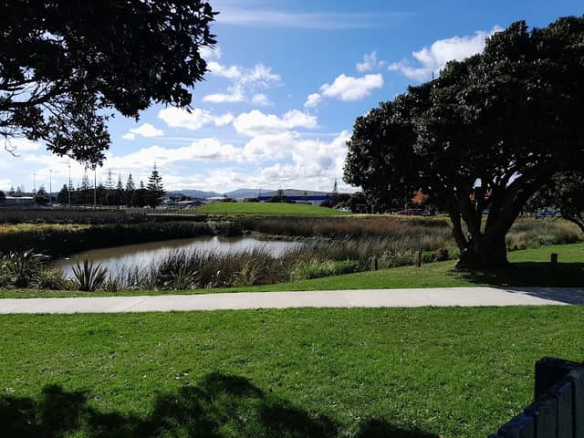 Te Kukuwai o Toa Wetland - Image 1