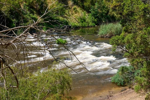 Rapids Observation Point - Image 1