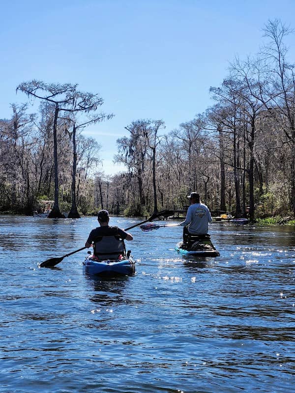 Wakulla River - Image 1