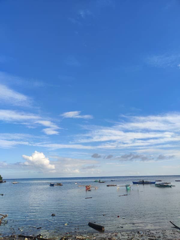 Caticugan Beach - Image 1