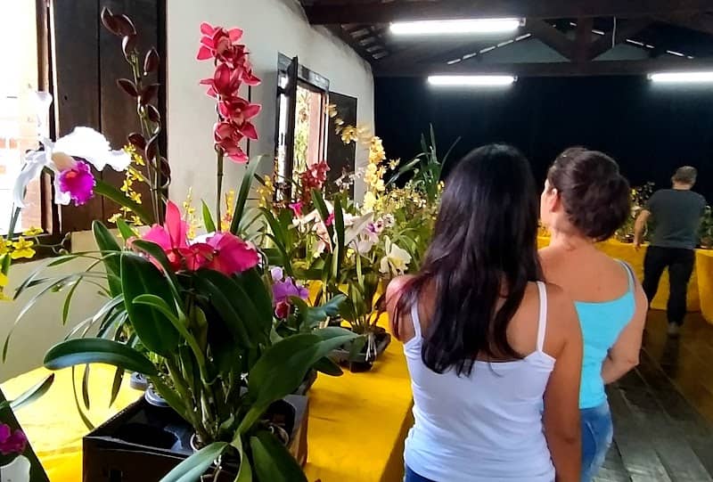 Feira Calunga Mix de Artesanato - Image 1