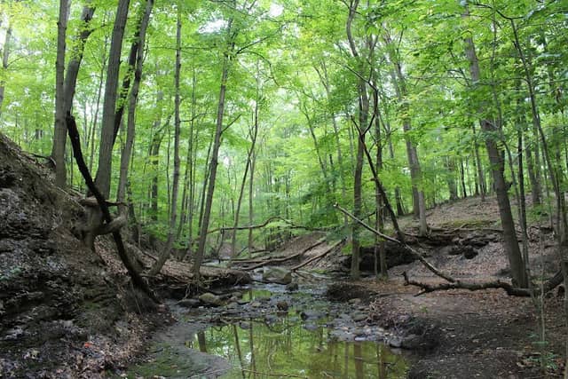 French Creek Nature Center and Theatre - Image 1