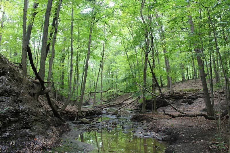 French Creek Nature Center and Theatre - Image 1