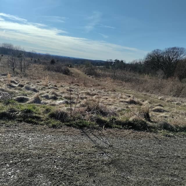 Woodlawn Wildlife Area/New Beginnings - Image 1