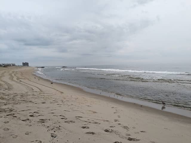 Seven presidents beach - Image 4