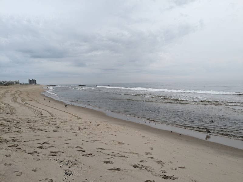 Seven presidents beach - Image 4