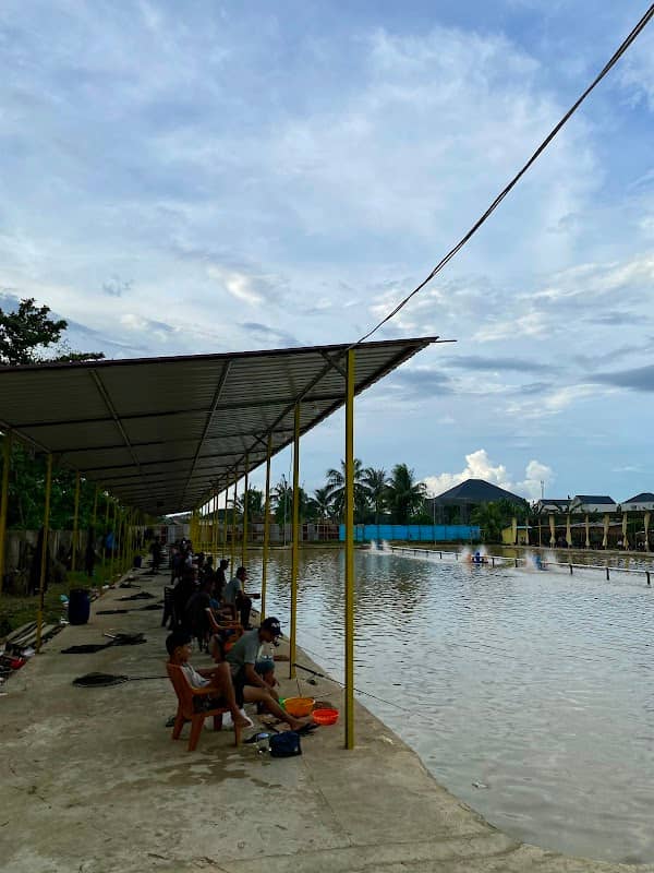 Golden fishing - Image 1