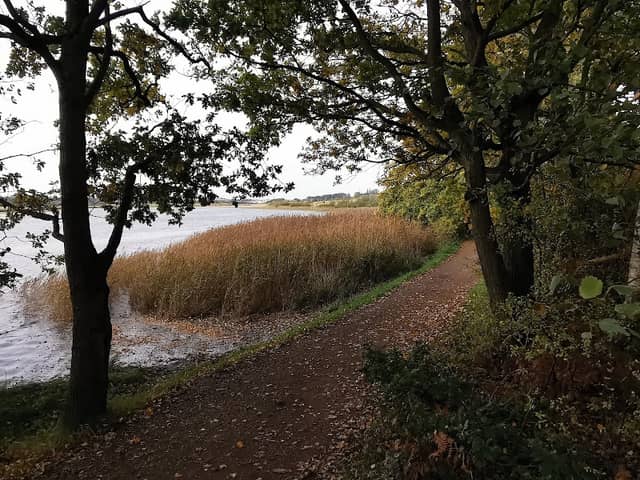 Lower Lodge Farm Colne Nature Reserve - Image 2