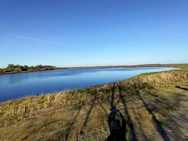 Aussichtsturm im Leegmoor - Image 1
