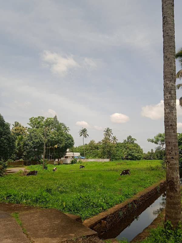 Thura View Point - Image 2