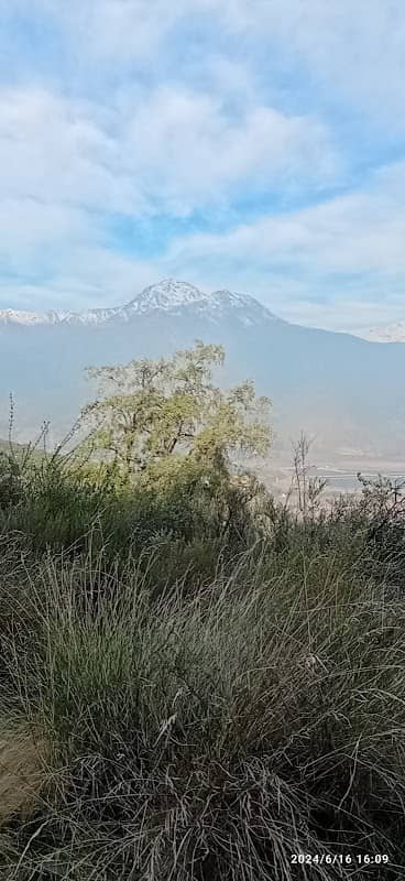 aguas el peumo - Image 1